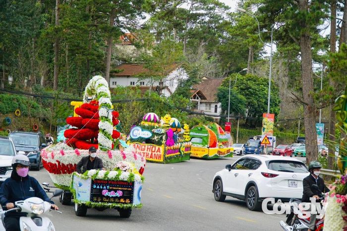54 xã, phường tại Lâm Đồng đang hưởng ứng phong trào người người trồng hoa, nhà nhà trồng hoa, cây xanh chào mừng Festival.