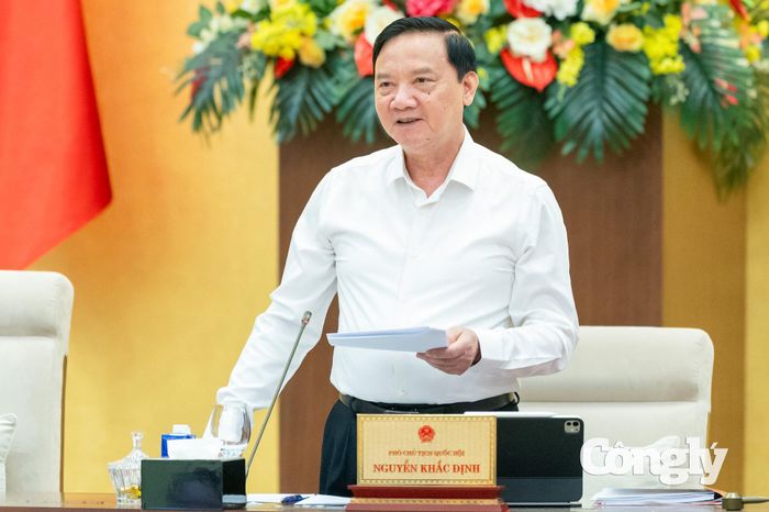 Phó Chủ tịch Quốc hội Nguyễn Khắc Định phát biểu kết luận