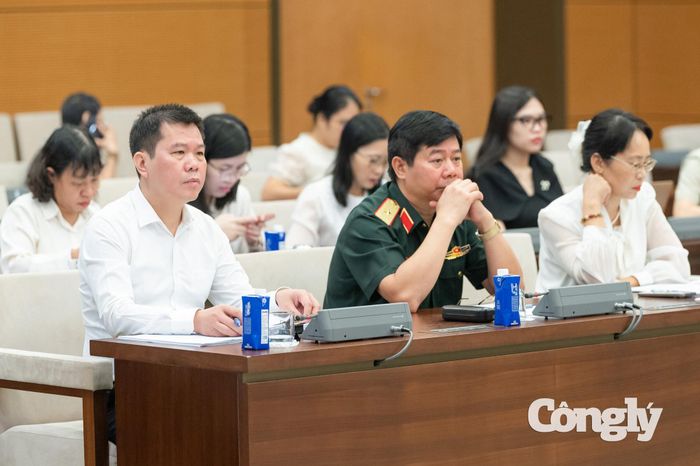 Các đại biểu dự phiên họp