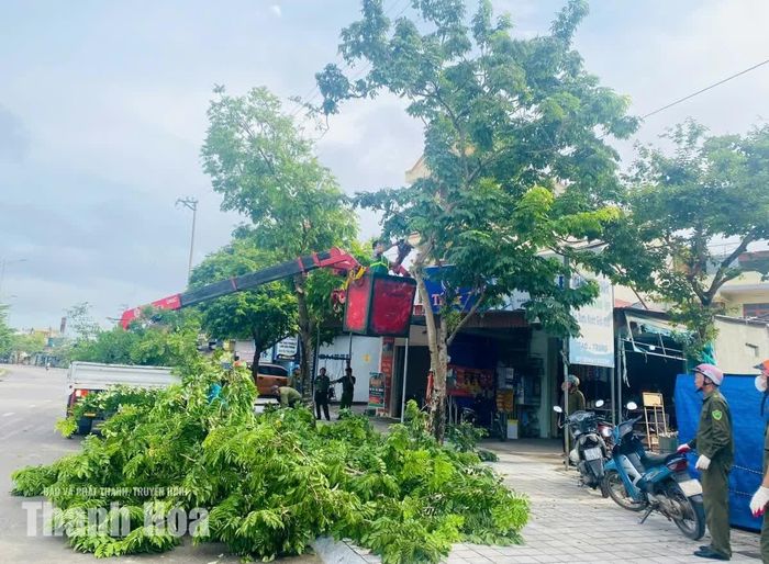 Các lực lượng cắt tỉa cây xanh, ra quân thiết lập trật tự đô thị.