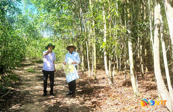 Cán bộ xã Đồng Dương kiểm tra thực địa diện tích đất đang nằm trong quy hoạch khu chăn nuôi tập trung. Ảnh: PHAN VINH