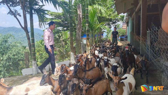 Những mô hình kinh tế hiệu quả trong giảm nghèo bền vững sẽ được xã Trà Tân chọn làm điểm nhân rộng. Ảnh: D.LỆ