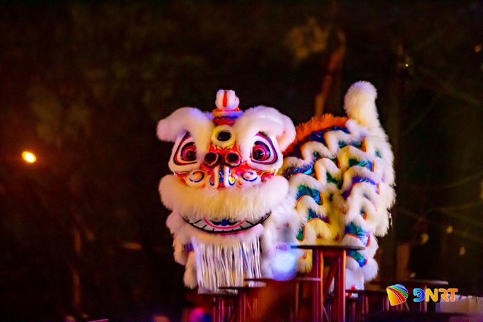 Đoàn lân Thái Sơn Đà biểu diễn tiết mục mai hoa thung tại đường Hồ Nghinh (phường An Hải) đêm 20/9. Ảnh: BẢO LÂM