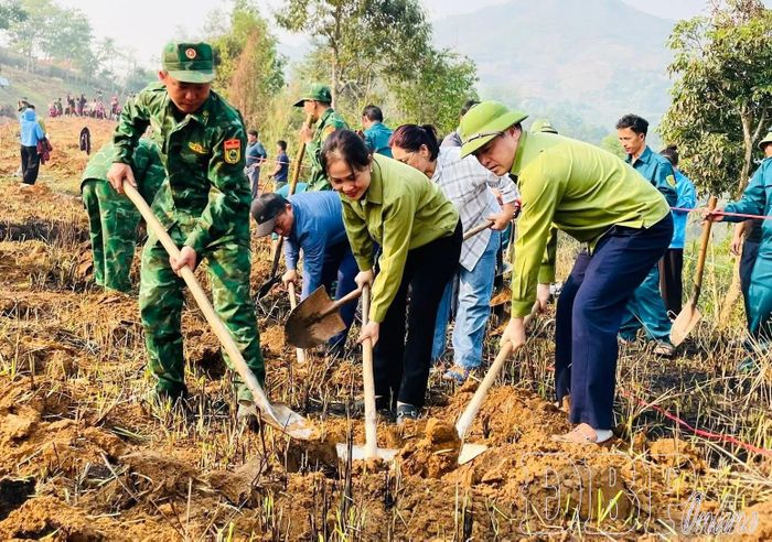 Lãnh đạo xã Si Pa Phìn tham gia phong trào trồng cà phê, mắc ca trên địa bàn xã.