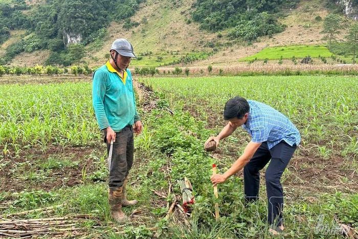 Sự chủ động, đồng thuận của người dân tại cơ sở đã tạo thuận lợi cho công tác đo đạc, xác định chính xác ranh giới, diện tích các thửa đất. 