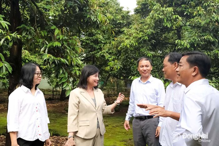 Đoàn công tác Văn phòng Điều phối Trung ương Chương trình Mục tiêu quốc gia (Bộ Nông nghiệp và Môi trường) tham quan mô hình trồng sầu riêng đạt chuẩn an toàn cho hiệu quả kinh tế cao tại xã Tà Lài. Ảnh: Bình Nguyên