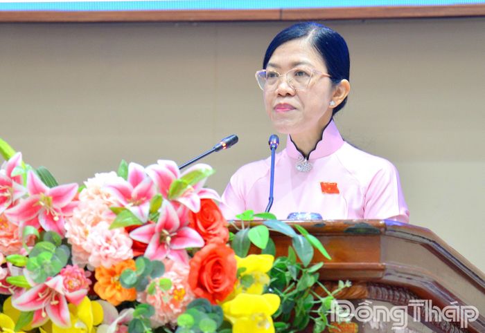 Đồng chí Nguyễn Kim Tuyến, Ủy viên UBND tỉnh, Giám đốc Sở Tài chính, trình tóm tắt Tờ trình kèm dự thảo Nghị quyết. 