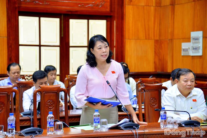 Đại biểu Ngô Thị Ngọc Hạnh, Giám đốc Báo và phát thanh, truyền hình Đồng Tháp, phát biểu thảo luận tại tổ.