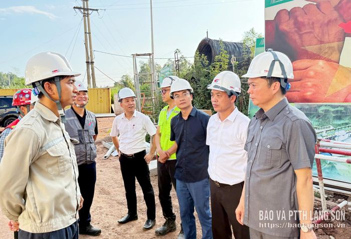 Đồng chí Đinh Hữu Học, Ủy viên Ban Thường vụ Tỉnh ủy, Phó Chủ tịch Thường trực UBND tỉnh kiểm tra tình hình triển khai dự án Nhà máy Nhiệt điện Na Dương II
