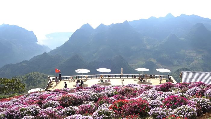 Buổi sáng là thời điểm lý tưởng để ngắm cảnh từ khu vườn.