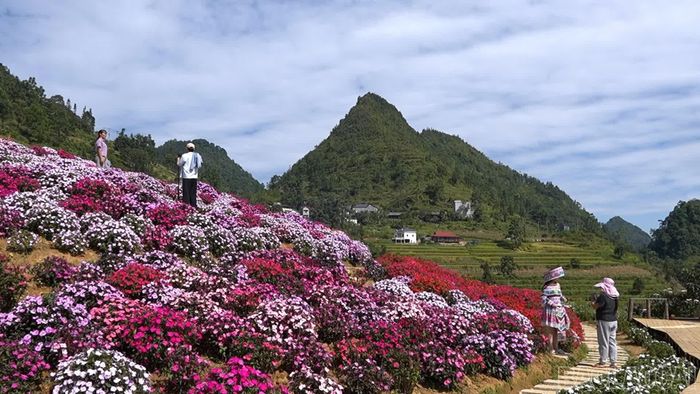 Khu vườn thu hút đông du khách, đặc biệt là các bạn trẻ trong vùng.