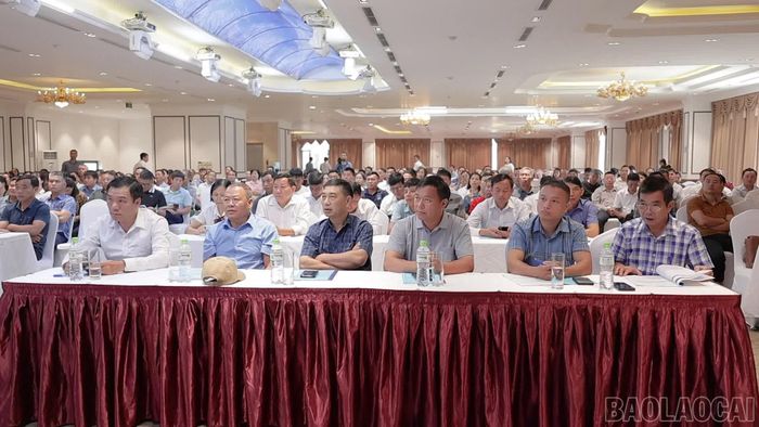 Các đại biểu tham gia hội nghị.
