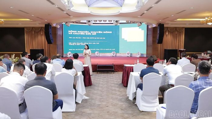 Giảng viên truyền đạt các nội dung tập huấn.