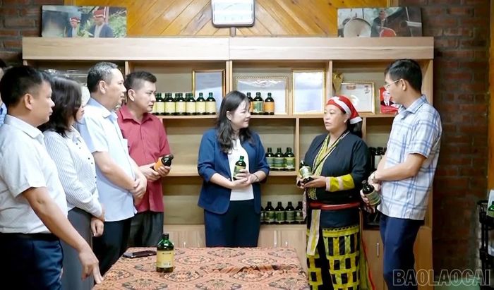 Thời gian qua, các đồng chí Thường trực HĐND tỉnh đã tổ chức giám sát chuyên đề tại cơ sở nhằm đánh giá thực trạng và tháo gỡ khó khăn trong triển khai thực hiện nhiệm vụ.