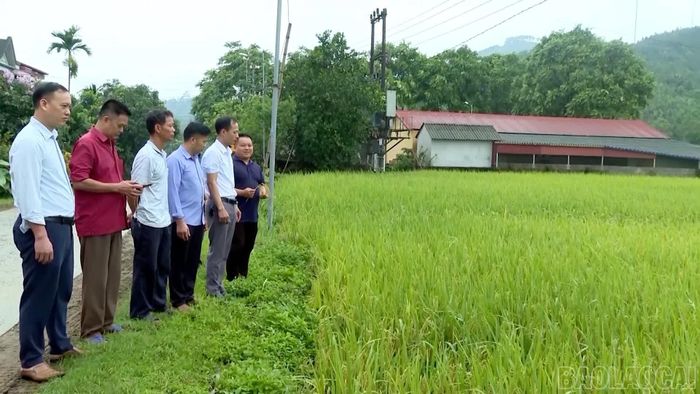  HĐND cấp xã tổ chức nhiều đoàn giám sát thực tế tại cơ sở nhằm kiểm tra, đánh giá việc thực hiện các chỉ tiêu, nhiệm vụ trên địa bàn. 