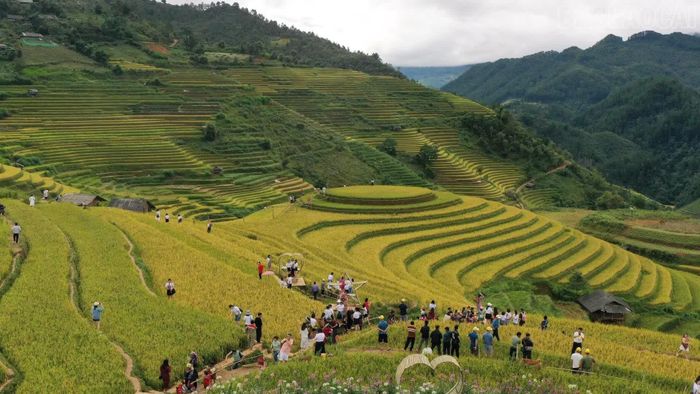 Đồi mâm xôi là điểm du lịch thu hút đông đảo du khách.