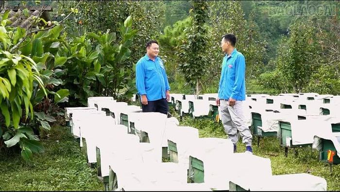 Bí thư Đoàn thanh niên xã Púng Luông Hảng A Lử trao đổi với đoàn viên Nguyễn Huy Chương về kỹ thuật nuôi ong.