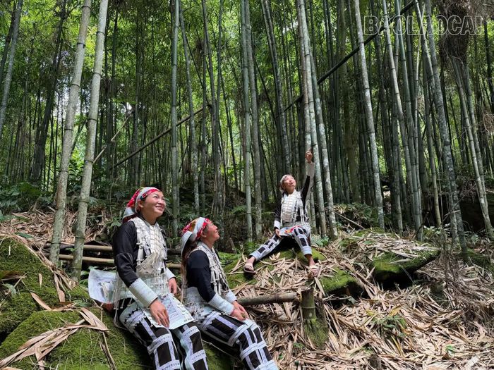 Khí hậu trong lành, mát mẻ quanh năm cùng cảnh sắc thơ mộng khiến rừng vầu Ngải Chồ trở thành điểm dừng chân tránh nóng và chụp ảnh lý tưởng cho người dân địa phương và du khách.