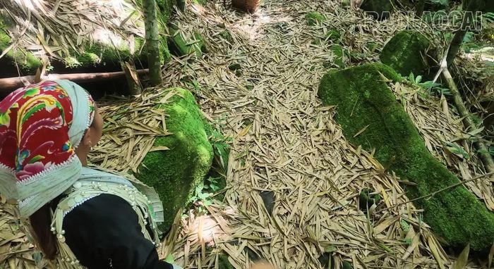 Dưới gốc vầu là thảm lá khô dày đặc đang phân hủy tạo mùn cho đất, điểm xuyết cùng những tảng đá lớn bám đầy rêu xanh cổ kính, mộng mơ.