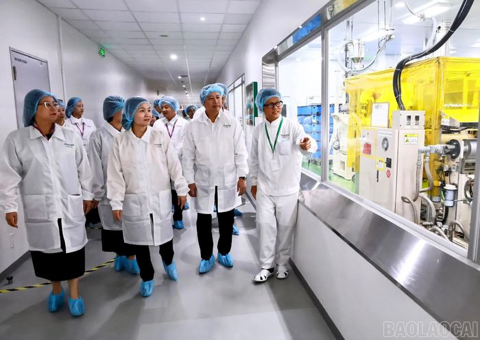 Đoàn công tác của tỉnh Lào Cai tham quan thực tế tại Công ty TNHH TERUMO BCT Việt Nam.