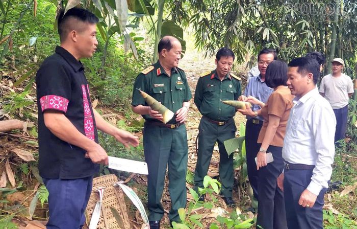Đoàn kiểm tra thăm mô hình điển hình tiên tiến tại xã Văn Chấn.
