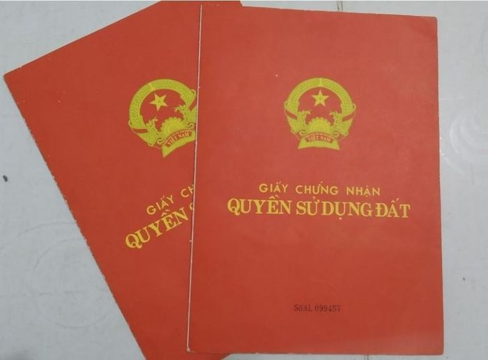 Gia đình ông Sâm nhận 2 sổ đỏ