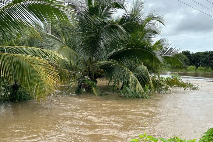 Nhiều diện tích cây trồng bị ngập ở xã Tuyên Quang