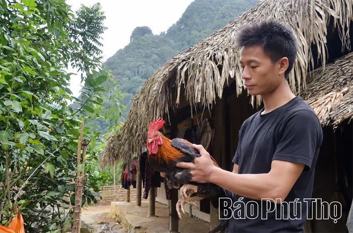 Anh Đặng Văn Thu giới thiệu giống gà nhiều cựa - sản vật đặc hữu của xã Xuân Đài với du khách.
