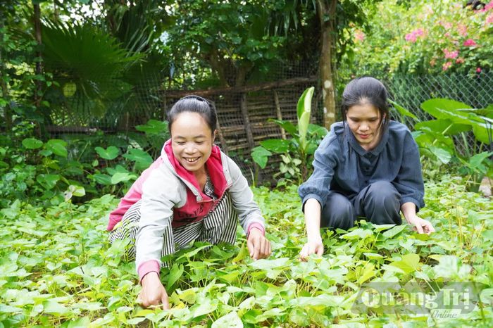 Vườn rau xanh được hỗ trợ xây dựng cung cấp đầy đủ nhu cầu cho gia đình chị Cao Thị Nghiêm (trái) - Ảnh: X.P