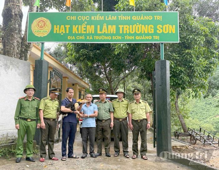 Lực lượng Kiểm lâm tỉnh phối hợp với các đơn vị chức năng bàn giao cá thể chim Hồng Hoàng quý hiếm cho Trung tâm Cứu hộ, bảo tồn và phát triển sinh vật thuộc Vườn Quốc gia Phong Nha-Kẻ Bàng - Ảnh: CTV