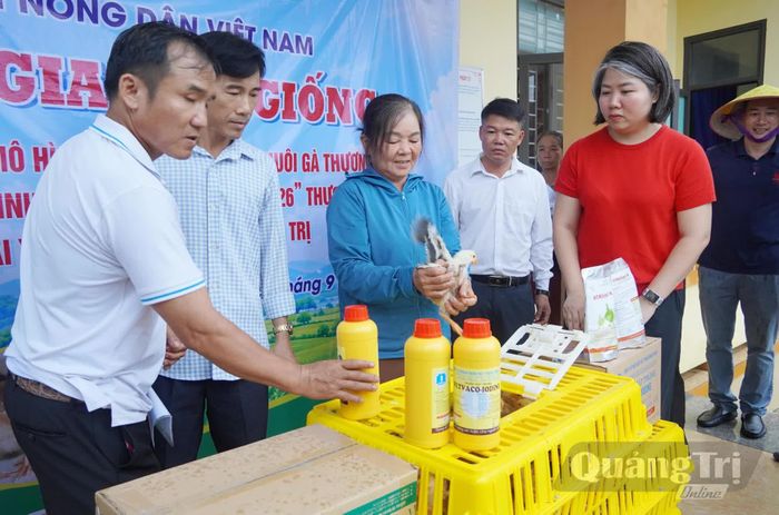 Các hộ dân kiểm tra gà giống được hỗ trợ - Ảnh: L.M