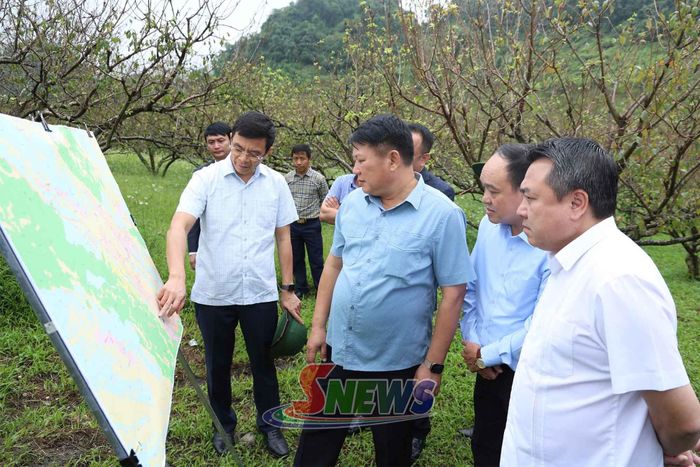 Đoàn công tác của tỉnh khảo sát thực địa địa điểm tái định cư Dự án CT.03 xã Tân Yên.