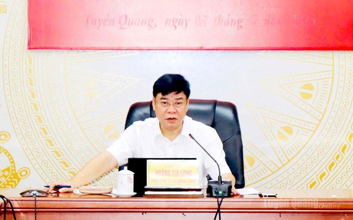 Phó Chủ tịch UBND tỉnh Hoàng Gia Long phát biểu kết luận hội nghị.