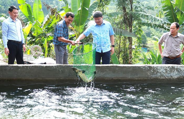 Phó Chủ tịch Thường trực Uỷ ban MTTQ tỉnh Hà Trung Kiên thăm mô hình nuôi cá tầm của hội viên nông dân thôn Nậm An, xã Tân Quang.