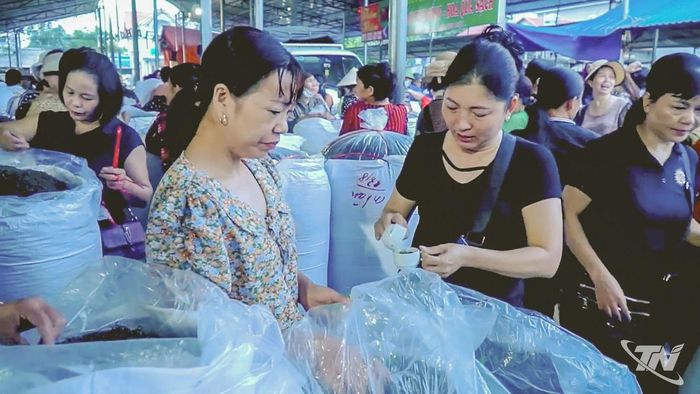 Chợ chè, một nét văn hóa gắn bó với đời sống và nghề chè của người dân Thái Nguyên.