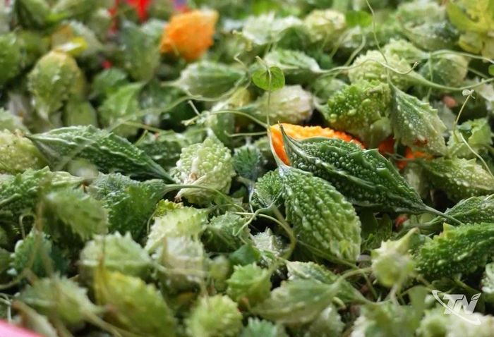 Mướp đắng rừng là sản vật đặc trưng của xã Yên Trạch.