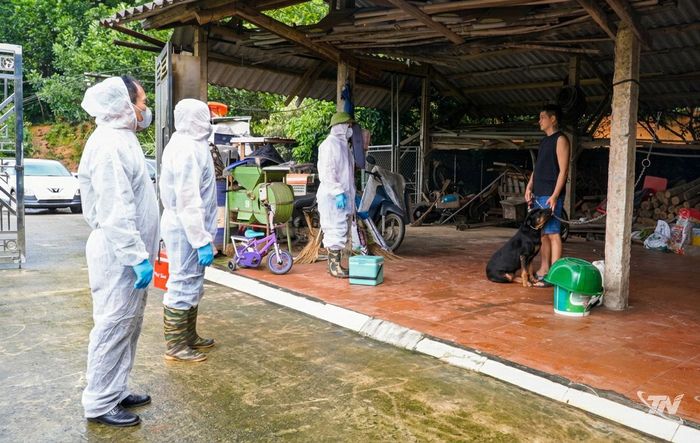 Cán bộ thú y cơ sở đến gia đình tiêm vắc-xin phòng dại cho đàn chó, mèo trên địa bàn xã Phú Thịnh.