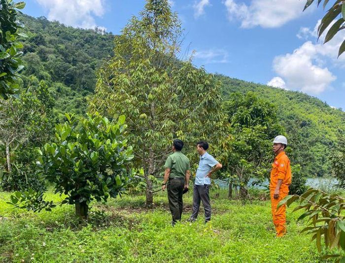 Kiểm tra khu vực đảo nổi trên lòng hồ