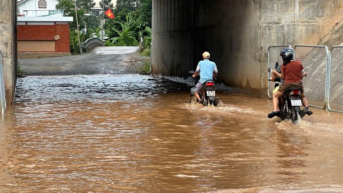 Hầm chui dân sinh dưới cao tốc bị ngập.