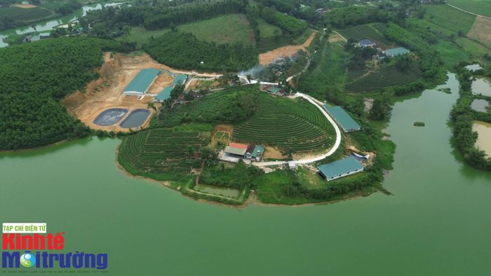 Hàng chục trại chăn nuôi lợn xây dựng trái phép trên địa bàn xã Bích Hào (Nghệ An) cần có phương án quản lý chặt về xả thải. Ảnh: Nguyễn Công