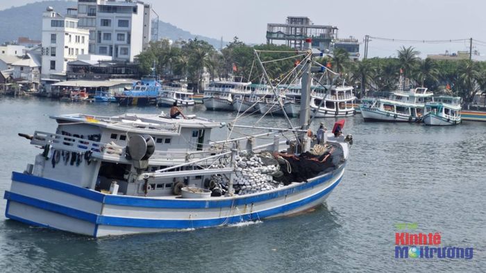 An Giang có 10.906/10.906 tàu cá đã đăng ký, được cập nhật đầy đủ thông tin trên cơ sở dữ liệu nghề cá quốc gia VNFishbase.