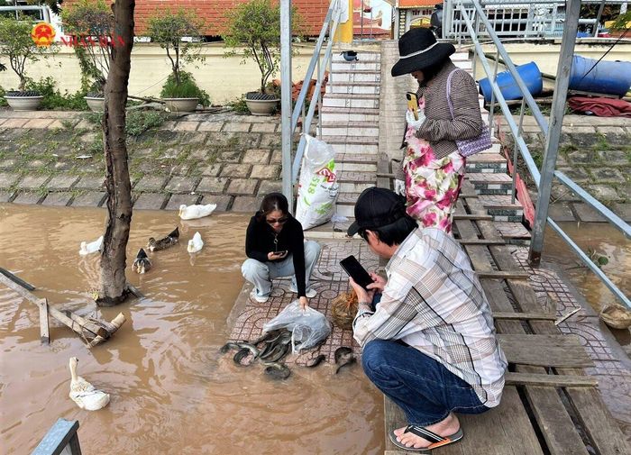 Hàng ngày, có nhiều người dân, du khách mang cá, cua... đến thả xuống sông