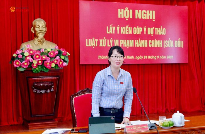 Phó Trưởng đoàn chuyên trách Đoàn ĐBQH thành phố Trần Thị Diệu Thúy phát biểu. Ảnh: Hoa Lê