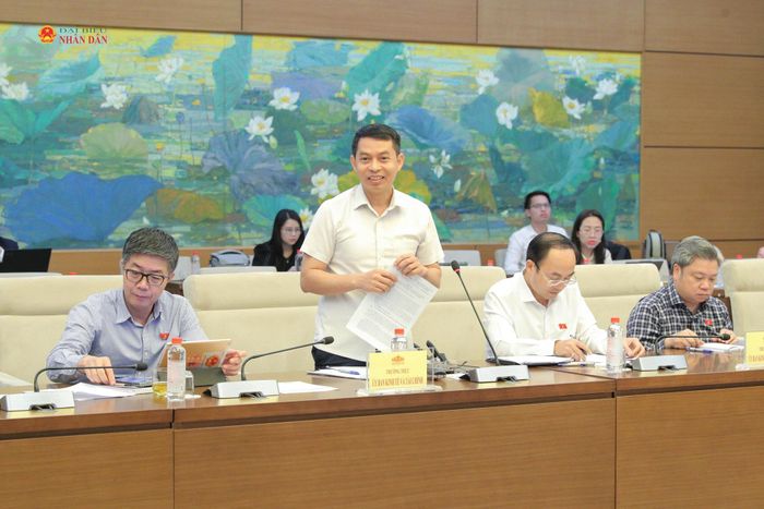 ĐBQH hoạt động chuyên trách tại Ủy ban Kinh tế và Tài chính Phạm Ngọc Lâm phát biểu
