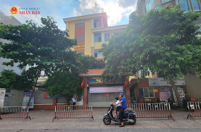 Cây xanh trước cổng Trường Tiểu học Sông Lô (phường Đức Nhuận). Ảnh: Quang Phương