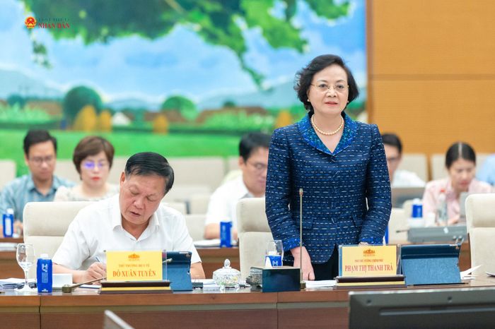 Phó Thủ tướng Phạm Thị Thanh Trà phát biểu tại phiên họp