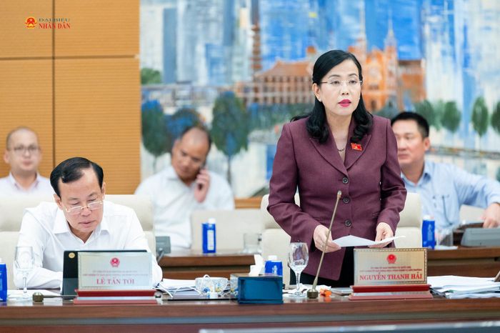 Chủ nhiệm Ủy ban Khoa học, Công nghệ và Môi trường Nguyễn Thanh Hải trình bày Báo cáo thẩm tra sơ bộ dự án Luật