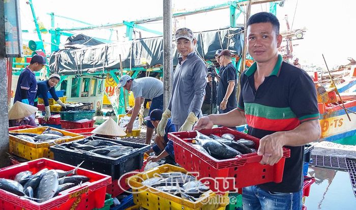 Hoạt động khai thác, thu mua thuỷ sản tại Cảng cá Sông Ðốc.