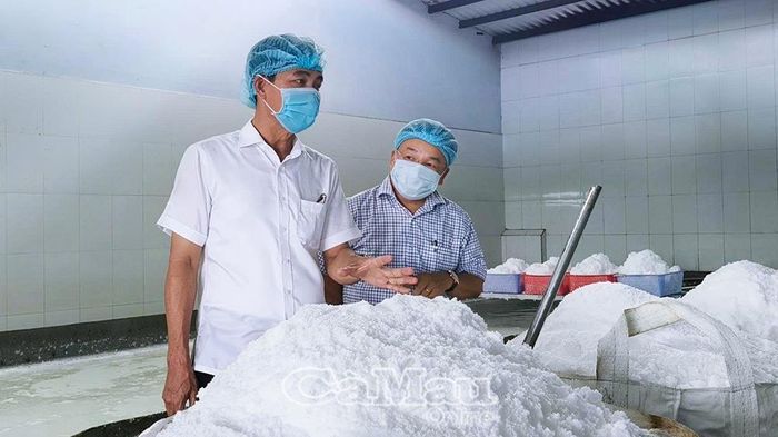 Lãnh đạo UBND xã Hoà Bình tham quan quy trình chuẩn bị đóng gói muối thành phẩm của Công ty Muối Bạc Liêu.