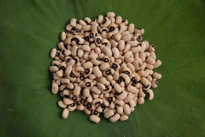 Đậu trắng phù hợp với những người muốn bổ sung kẽm từ thực vật